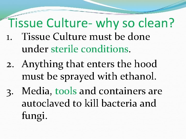 Tissue Culture- why so clean? 1. Tissue Culture must be done under sterile conditions.