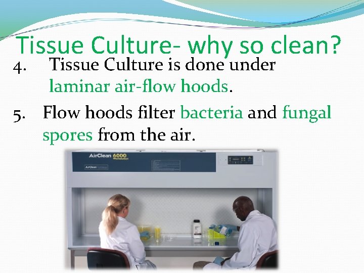 Tissue Culture- why so clean? 4. Tissue Culture is done under laminar air-flow hoods.