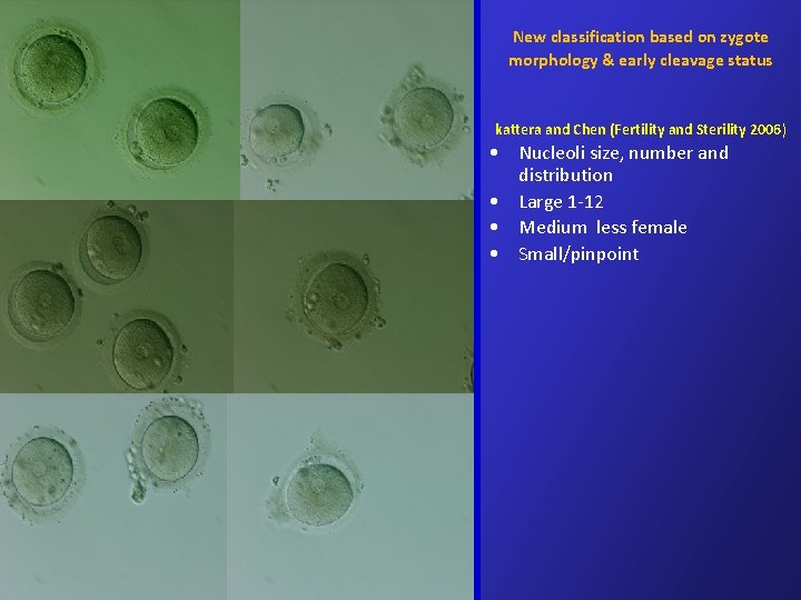 New classification based on zygote morphology & early cleavage status kattera and Chen (Fertility New classification based on zygote morphology & early cleavage status kattera and Chen (Fertility