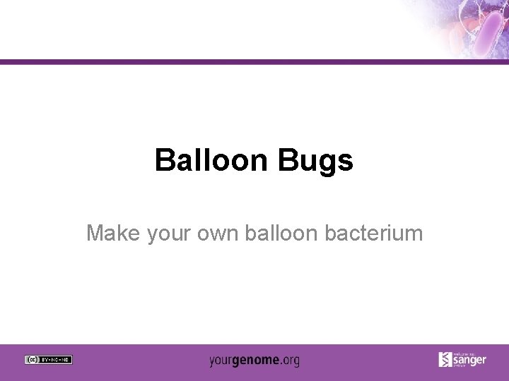Balloon Bugs Make your own balloon bacterium 