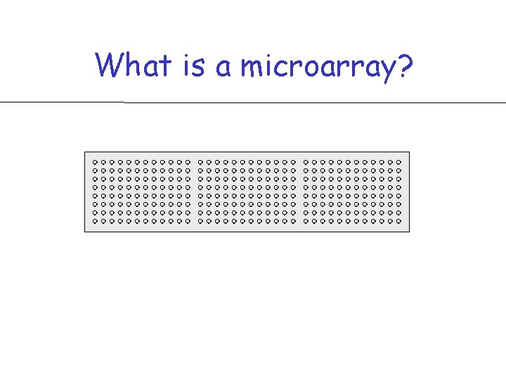 What is a microarray? 