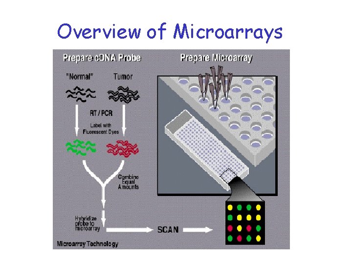 Overview of Microarrays 