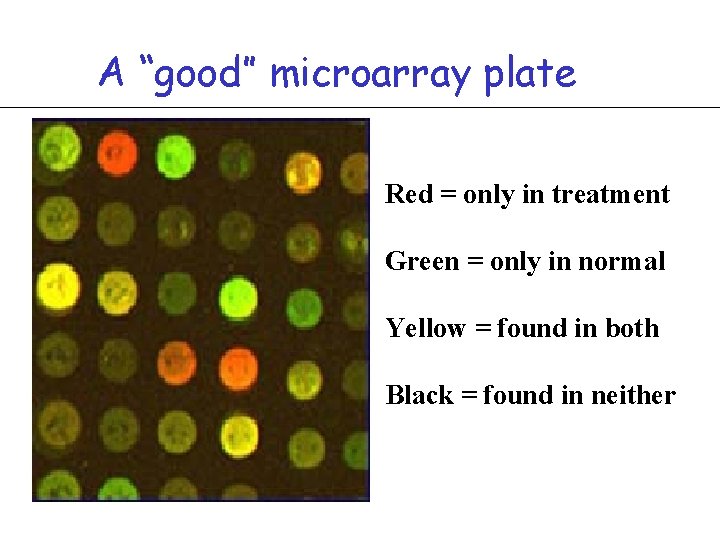 A “good” microarray plate Red = only in treatment Green = only in normal