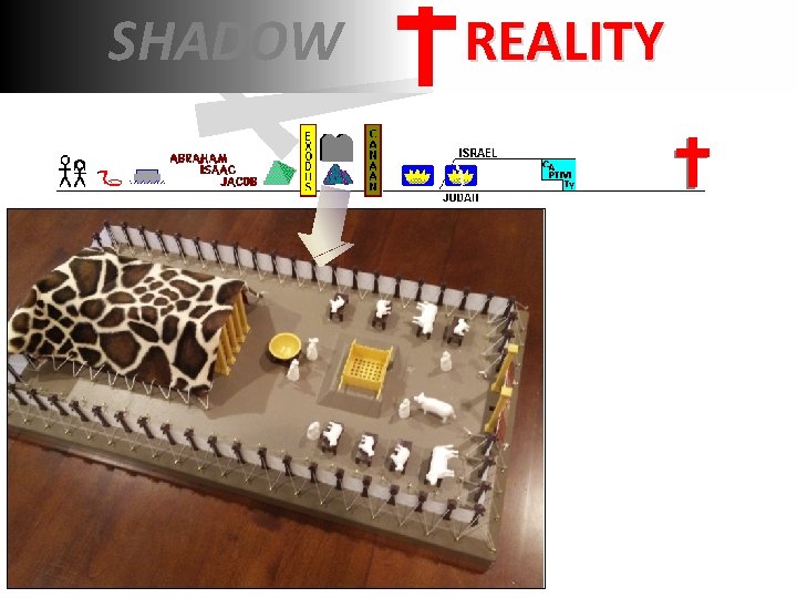 SHADOW REALITY SHADOW REALITY