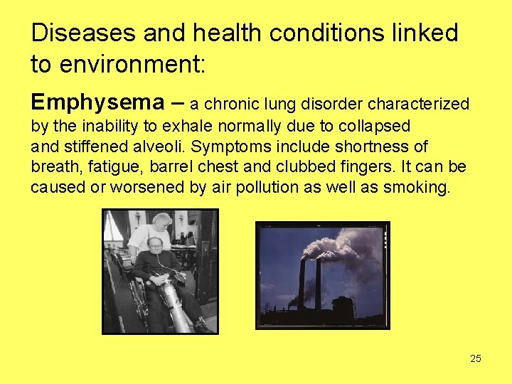 Diseases and health conditions linked to environment: Emphysema – a chronic lung disorder characterized
