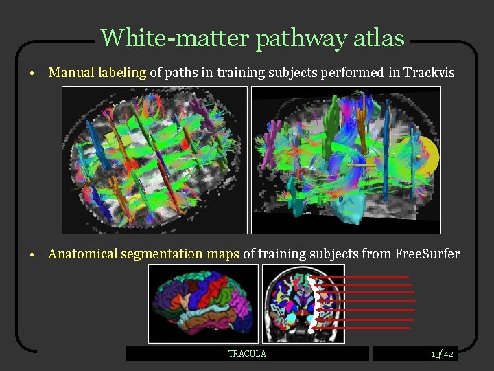 White-matter pathway atlas • Manual labeling of paths in training subjects performed in Trackvis