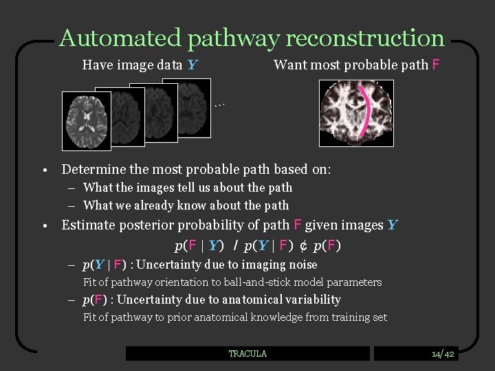 Automated pathway reconstruction Have image data Y Want most probable path F … •
