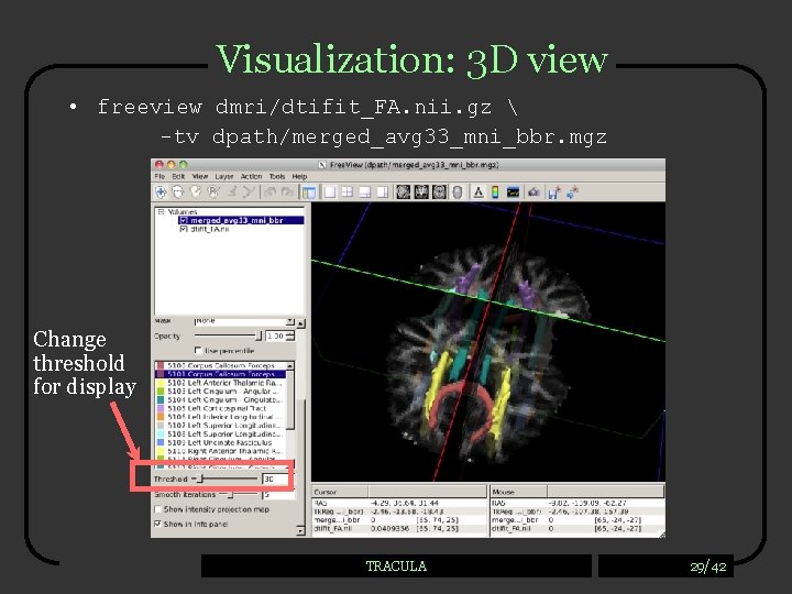 Visualization: 3 D view • freeview dmri/dtifit_FA. nii. gz  -tv dpath/merged_avg 33_mni_bbr. mgz