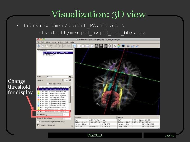 Visualization: 3 D view • freeview dmri/dtifit_FA. nii. gz  -tv dpath/merged_avg 33_mni_bbr. mgz