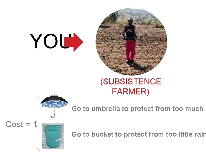 YOU (SUBSISTENCE FARMER) Go to umbrella to protect from too much r Cost =