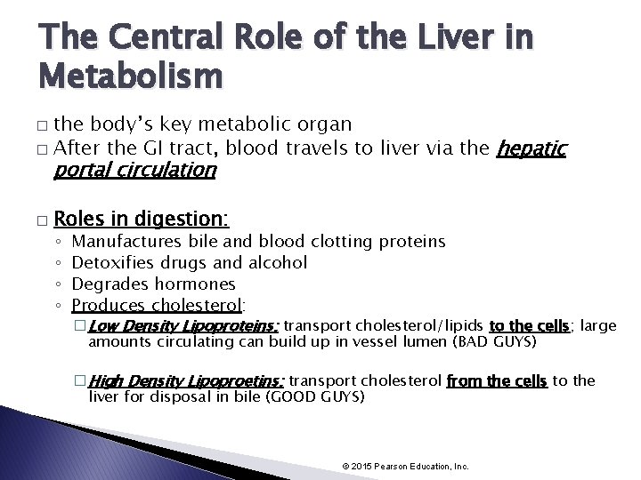 The Central Role of the Liver in Metabolism the body’s key metabolic organ �