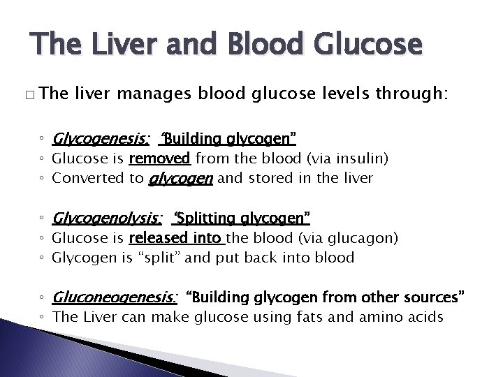 The Liver and Blood Glucose � The liver manages blood glucose levels through: ◦