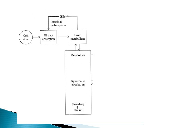 first pass metabolism 