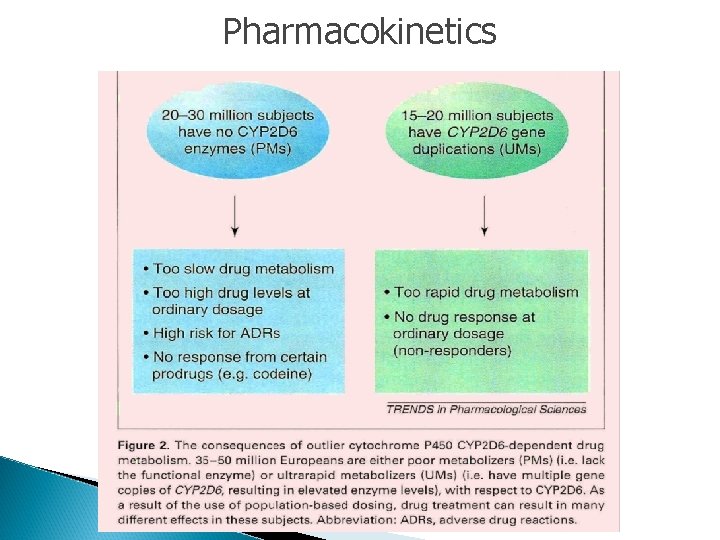 Pharmacokinetics 