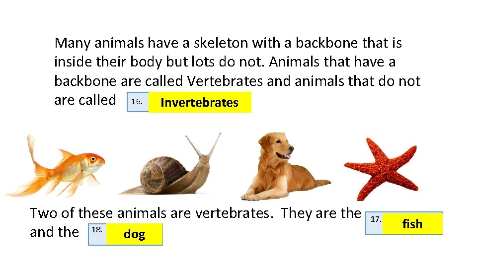 Many animals have a skeleton with a backbone that is inside their body but