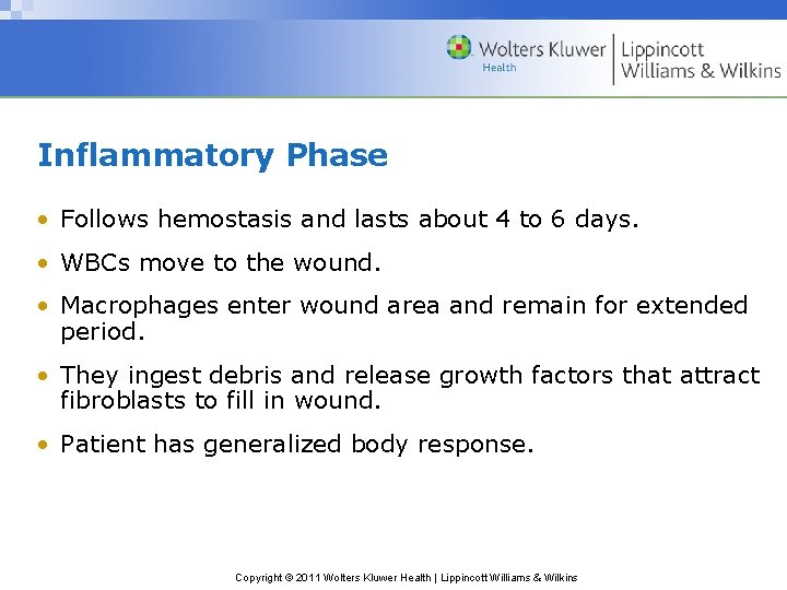 Inflammatory Phase • Follows hemostasis and lasts about 4 to 6 days. • WBCs Inflammatory Phase • Follows hemostasis and lasts about 4 to 6 days. • WBCs