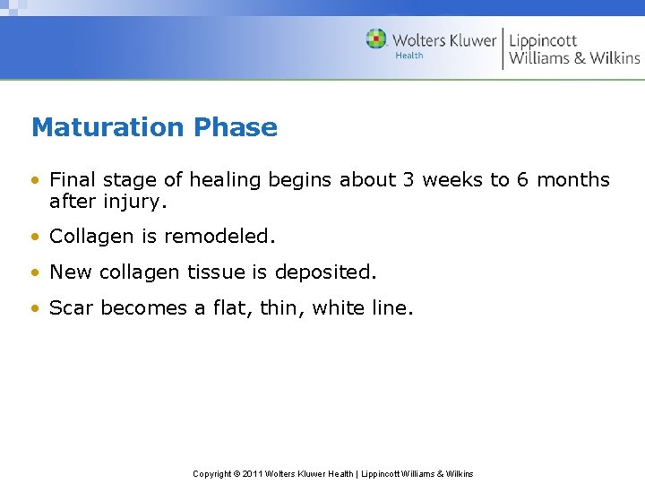 Maturation Phase • Final stage of healing begins about 3 weeks to 6 months Maturation Phase • Final stage of healing begins about 3 weeks to 6 months