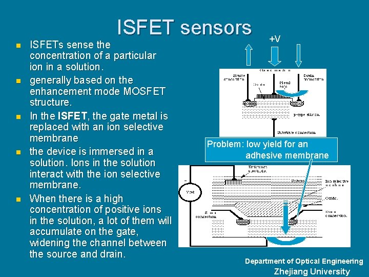 ISFET sensors n n n ISFETs sense the concentration of a particular ion in