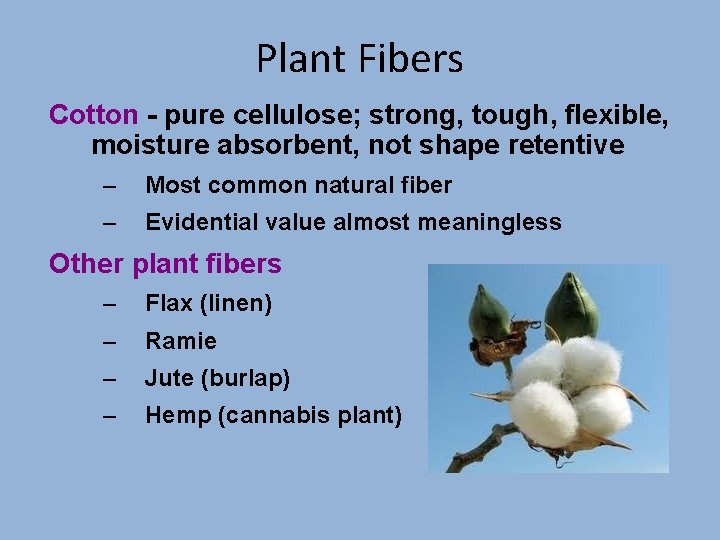 Plant Fibers Cotton - pure cellulose; strong, tough, flexible, moisture absorbent, not shape retentive