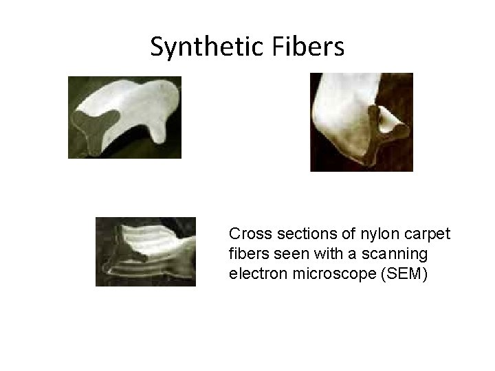 Synthetic Fibers Cross sections of nylon carpet fibers seen with a scanning electron microscope