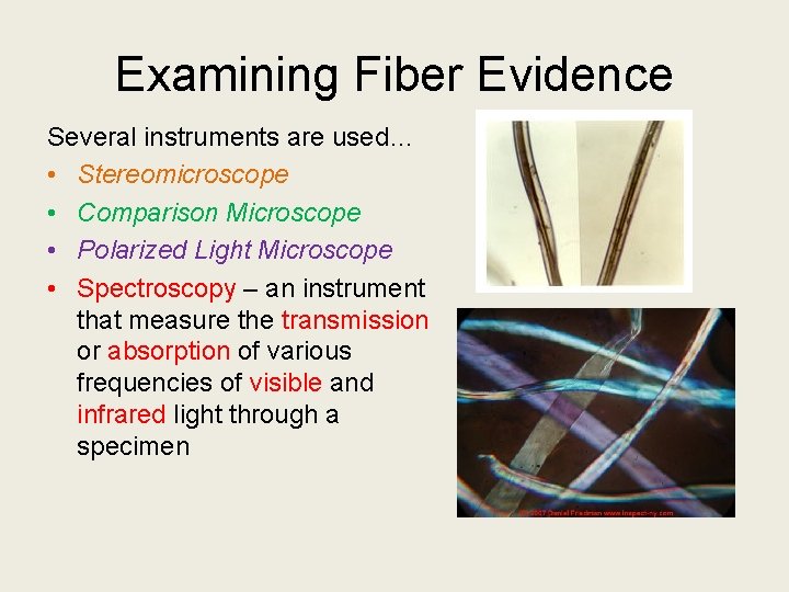 Examining Fiber Evidence Several instruments are used… • Stereomicroscope • Comparison Microscope • Polarized