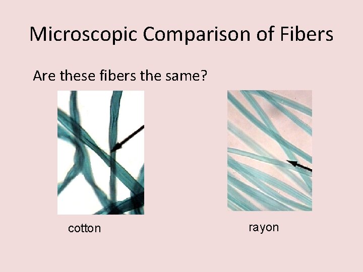 Microscopic Comparison of Fibers Are these fibers the same? cotton rayon 