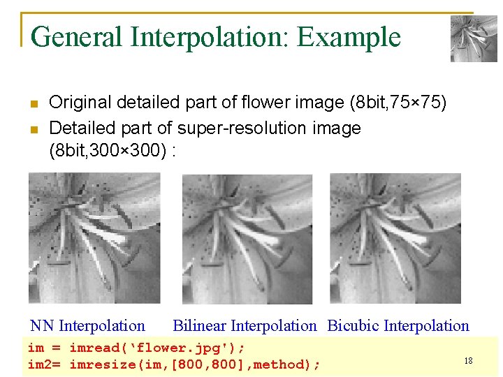 General Interpolation: Example n n Original detailed part of flower image (8 bit, 75×