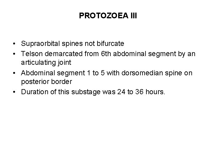 PROTOZOEA III • Supraorbital spines not bifurcate • Telson demarcated from 6 th abdominal