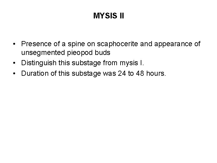 MYSIS II • Presence of a spine on scaphocerite and appearance of unsegmented pieopod