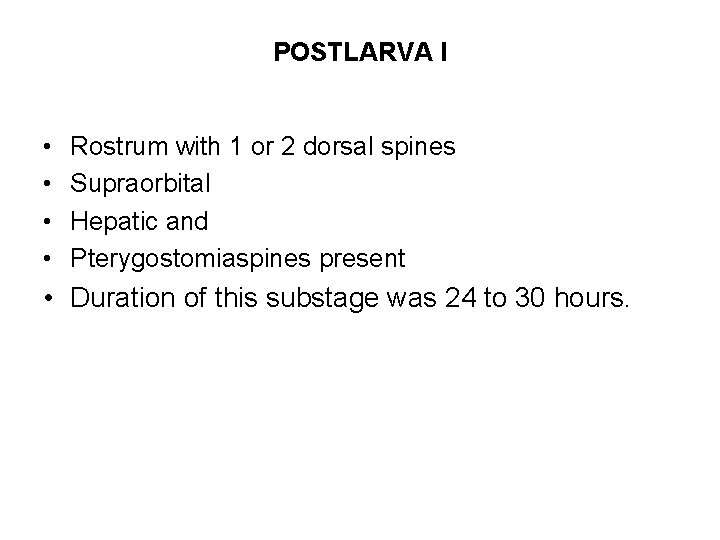 POSTLARVA I • • Rostrum with 1 or 2 dorsal spines Supraorbital Hepatic and