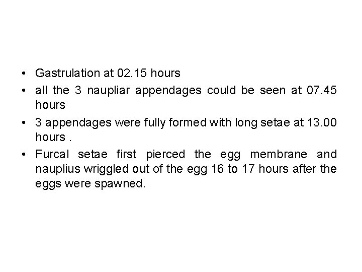  • Gastrulation at 02. 15 hours • all the 3 naupliar appendages could