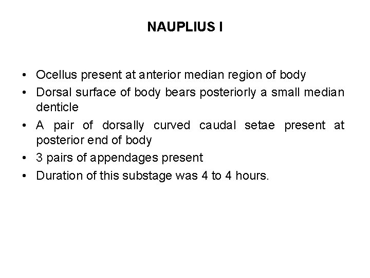NAUPLIUS I • Ocellus present at anterior median region of body • Dorsal surface