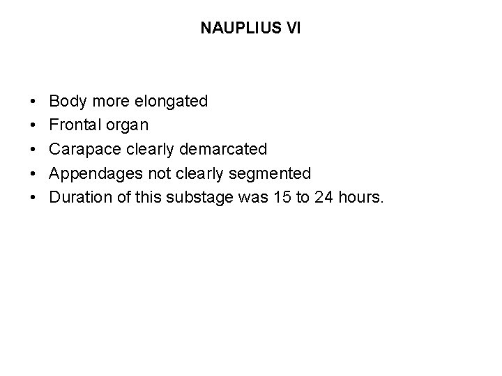 NAUPLIUS VI • • • Body more elongated Frontal organ Carapace clearly demarcated Appendages