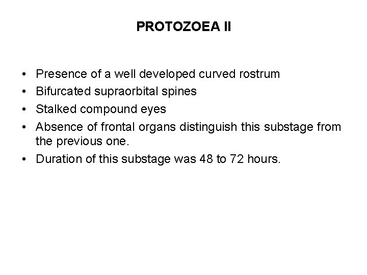 PROTOZOEA II • • Presence of a well developed curved rostrum Bifurcated supraorbital spines