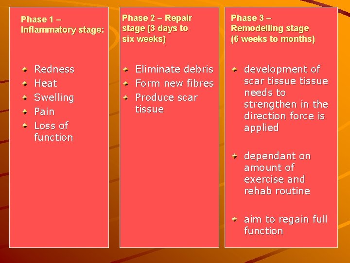 Phase 1 – Inflammatory stage: Redness Heat Swelling Pain Loss of function Phase 2