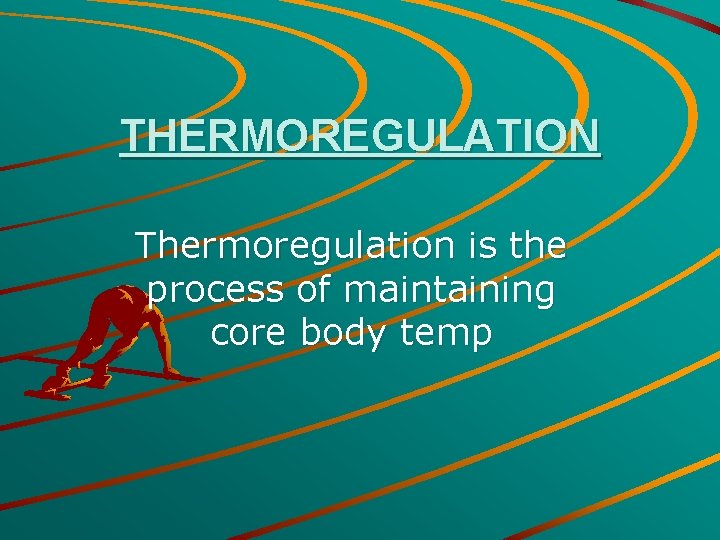 THERMOREGULATION Thermoregulation is the process of maintaining core body temp 
