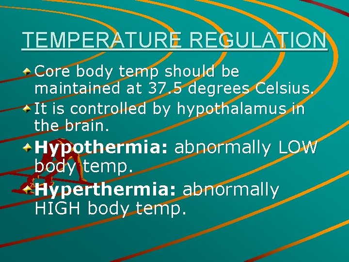 TEMPERATURE REGULATION Core body temp should be maintained at 37. 5 degrees Celsius. It
