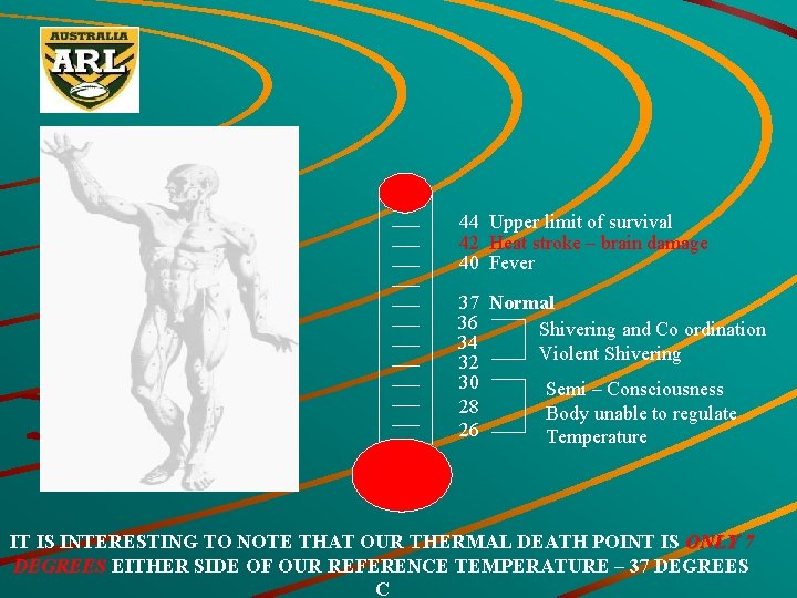 44 Upper limit of survival 42 Heat stroke – brain damage 40 Fever 37