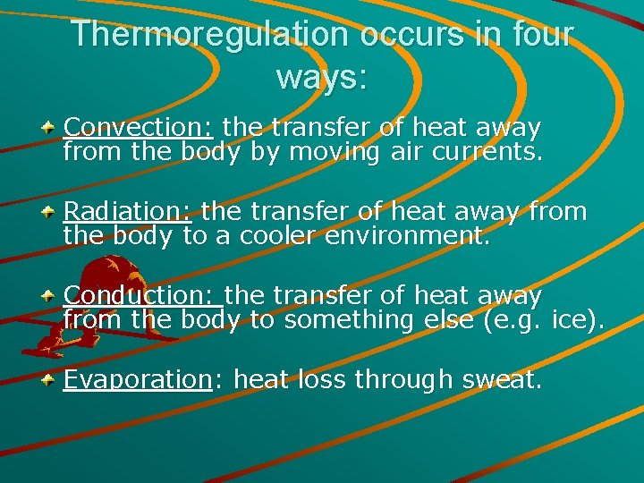 Thermoregulation occurs in four ways: Convection: the transfer of heat away from the body