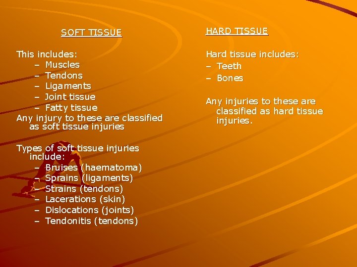 SOFT TISSUE This includes: – Muscles – Tendons – Ligaments – Joint tissue –