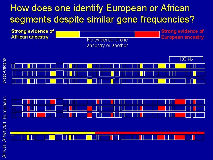 How does one identify European or African segments despite similar gene frequencies? African American How does one identify European or African segments despite similar gene frequencies? African American