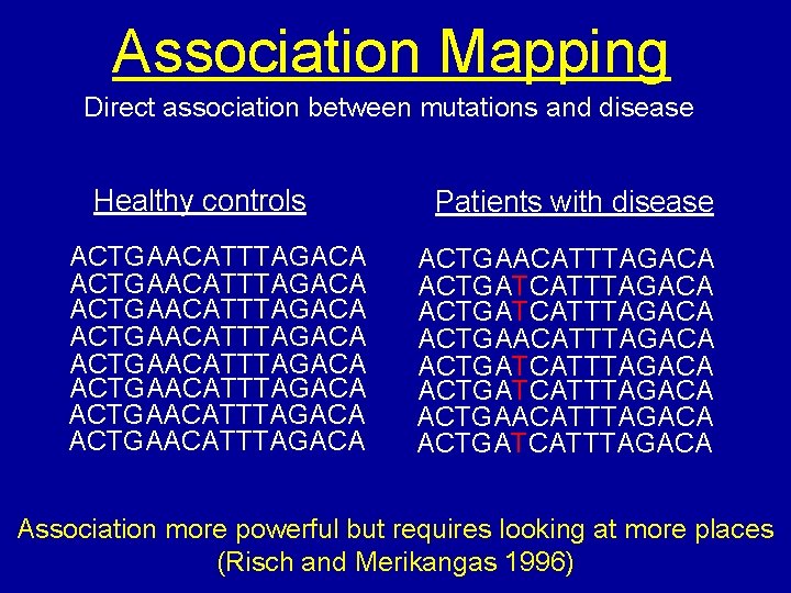 Association Mapping Direct association between mutations and disease Healthy controls ACTGAACATTTAGACA ACTGAACATTTAGACA Patients with Association Mapping Direct association between mutations and disease Healthy controls ACTGAACATTTAGACA ACTGAACATTTAGACA Patients with