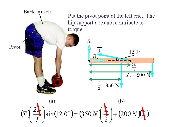 Put the pivot point at the left end. The hip support does not contribute Put the pivot point at the left end. The hip support does not contribute