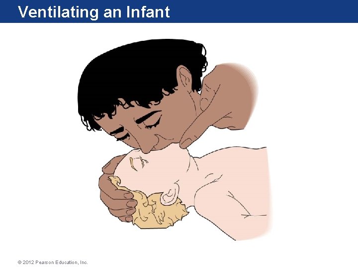 Ventilating an Infant © 2012 Pearson Education, Inc. Ventilating an Infant © 2012 Pearson Education, Inc.