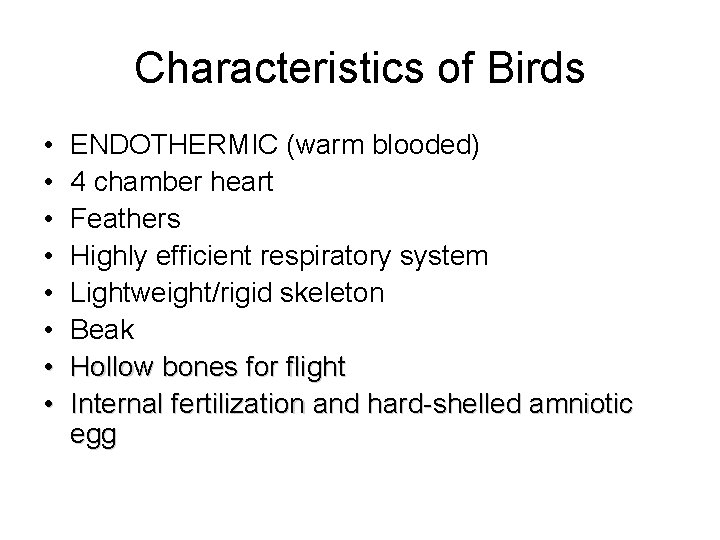 Characteristics of Birds • • ENDOTHERMIC (warm blooded) 4 chamber heart Feathers Highly efficient