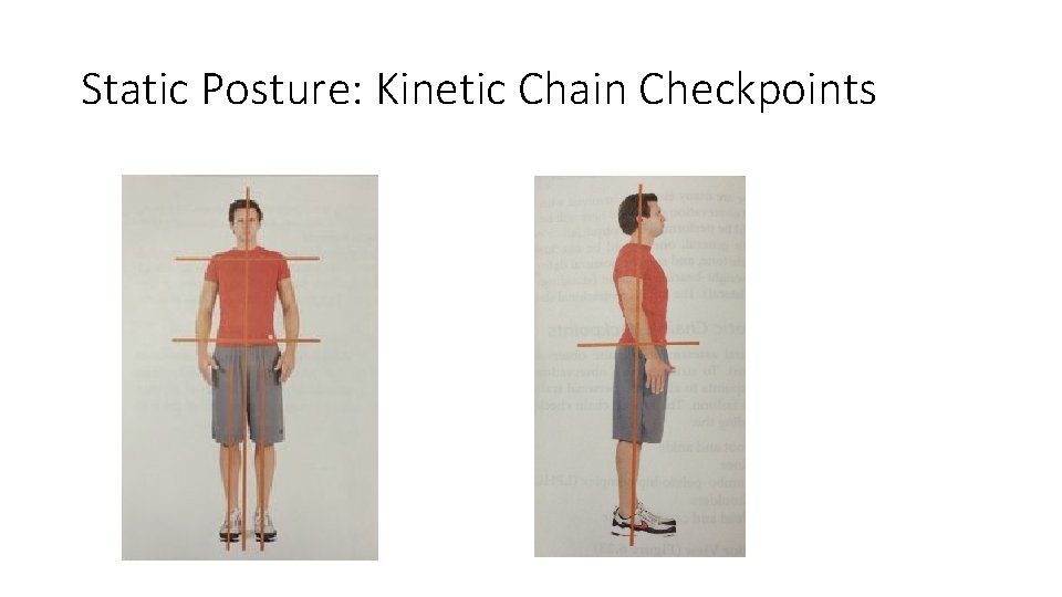 Static Posture: Kinetic Chain Checkpoints 