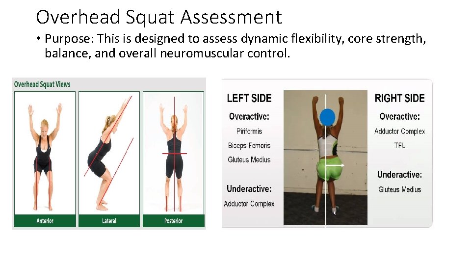 Overhead Squat Assessment • Purpose: This is designed to assess dynamic flexibility, core strength,