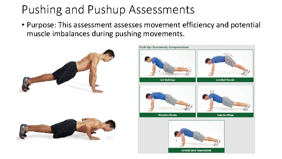 Pushing and Pushup Assessments • Purpose: This assessment assesses movement efficiency and potential muscle