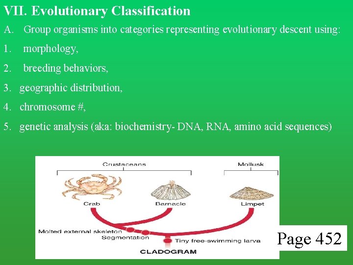 VII. Evolutionary Classification A. Group organisms into categories representing evolutionary descent using: 1. morphology, VII. Evolutionary Classification A. Group organisms into categories representing evolutionary descent using: 1. morphology,