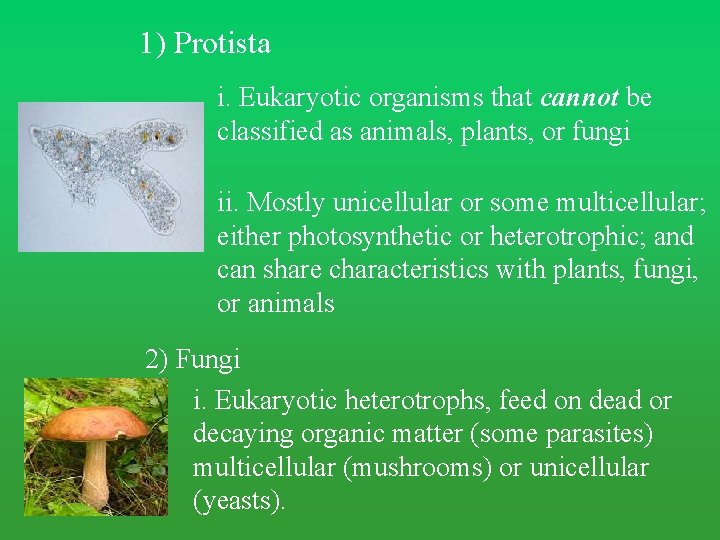 1) Protista i. Eukaryotic organisms that cannot be classified as animals, plants, or fungi 1) Protista i. Eukaryotic organisms that cannot be classified as animals, plants, or fungi